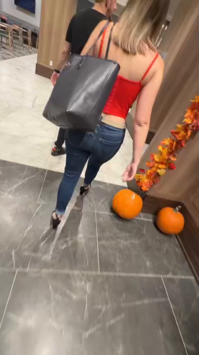 avgpawgteach
