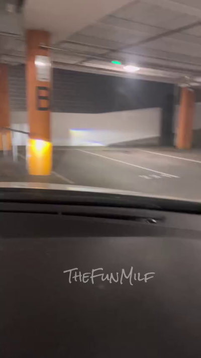 thefunmilf