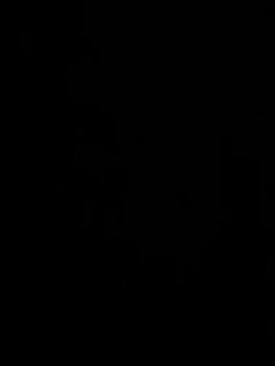 vixenp