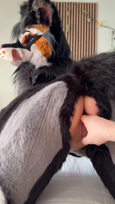 foxgirlnova