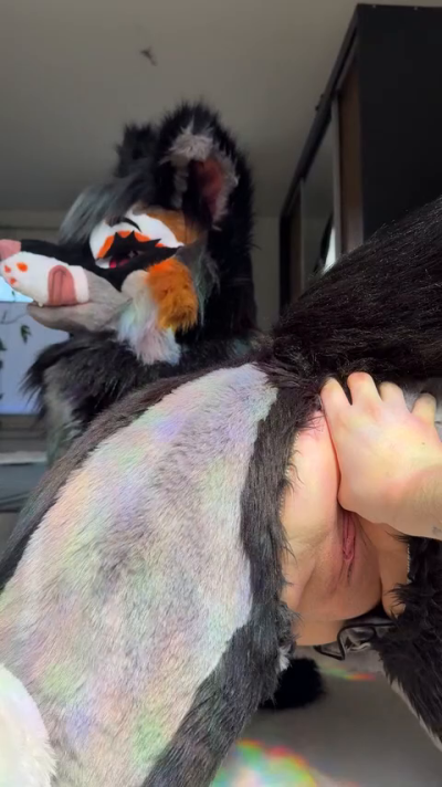 foxgirlnova