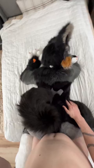 foxgirlnova