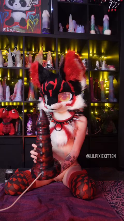 lilpixiekitten